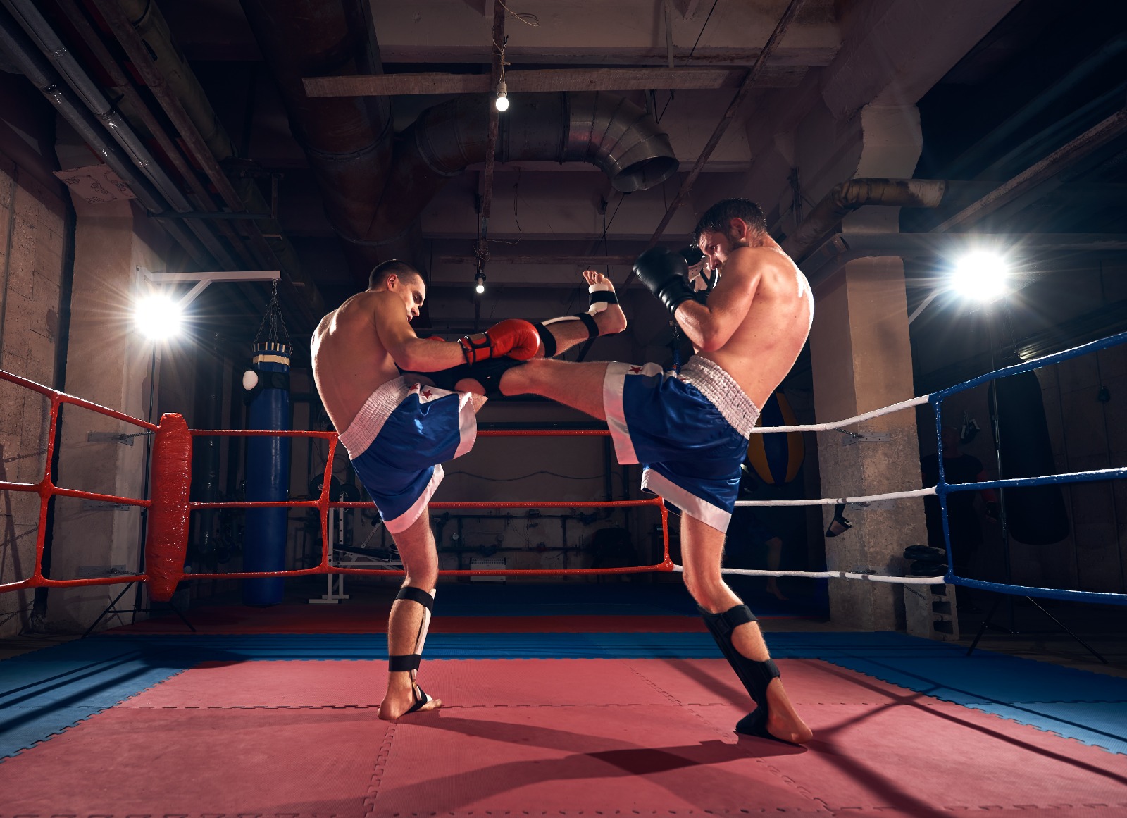 MMA fighters sparring inside a cage